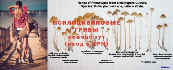 герыч Белокуриха